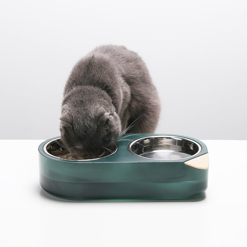 Cat Bowls and Food Storage
