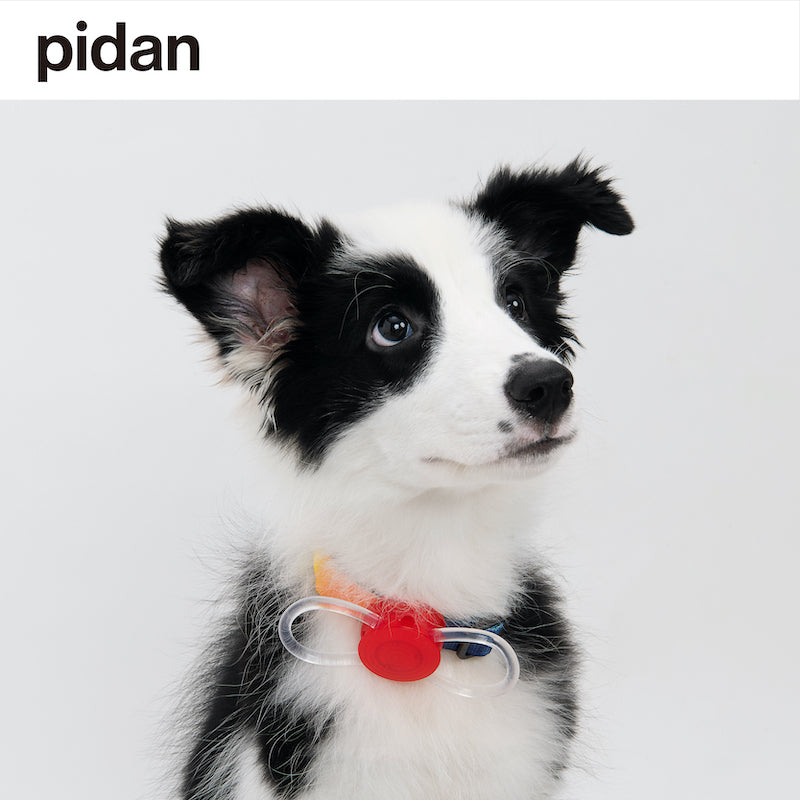 pidan Pet Safety Night Light