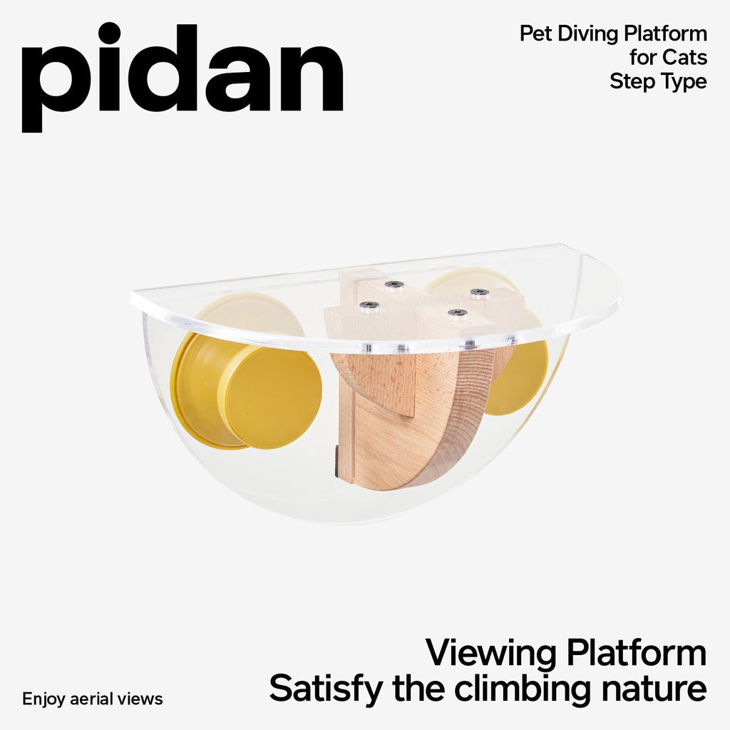 pidan Window Acrylic Jumper | PD2008AX