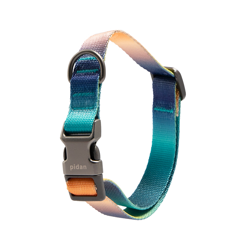 pidan Dog Collar with Metal Buckle 6 types Blue and Green Medium Size